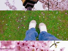 -鸡鸣寺