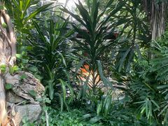 -龙熙温泉水世界