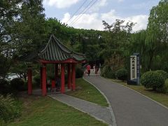 -九科绿洲