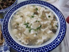 蚌肉豆腐-洞天食府(北大街店)