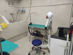 -美联众合爱康动物医院•复杂内科•肿瘤科•牙科•腔镜诊疗中心