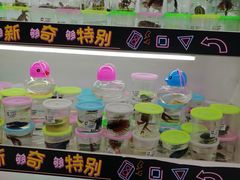 -北国超市(天河店)