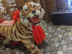 -破瓦寒窑·地摊烤羊排