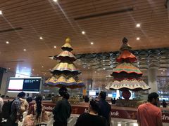 -贾特拉帕蒂·希瓦吉国际机场