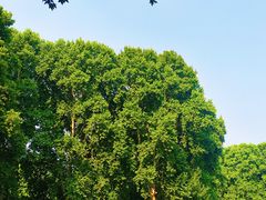 -河南省黄河迎宾馆