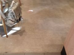 -COSTA COFFEE(上海虹口公园店)