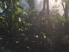 -北京植物园-展览温室