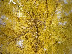 -北京石刻艺术博物馆(五塔寺)