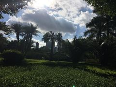 -东风公园