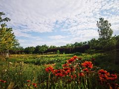 -永定河休闲森林公园