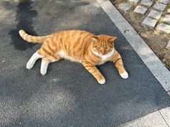 -南京航空航天大学(明故宫校区)