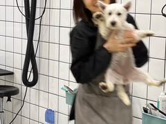 -BABIT巴比特宠物(MOMOPARK店)