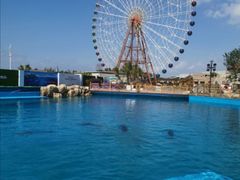 -三亚海昌梦幻海洋不夜城