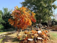 -HERRE·FARM 赫尔露营农场·团建聚会包场