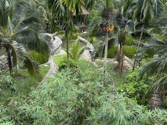 -新加坡飞禽公园