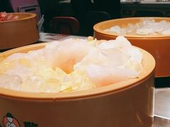 -龍歌自助小火锅(李沧顺和汇店)
