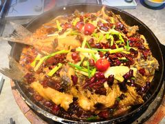 -老板恋上鱼(恒隆广场店)