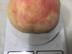 -无锡君来洲际酒店