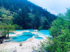 -黄龙山原始森林景区