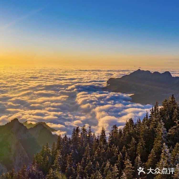 宁夏小瑞士｜宁夏周边游之苏峪口国家森林公园