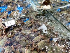 -船奇蒸汽海鲜·闽菜(八市海鲜总店)