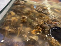 -川骄海鲜自助(河东店)