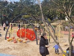 -铁山坪森林公园