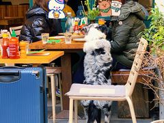 大堂-RAC BAR(安福路店)