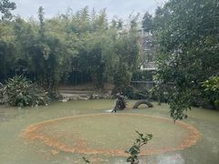 -汇龙潭