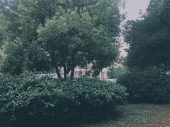 -上海浦东国际机场-T2航站楼