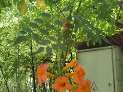 -千滋百味·醉江澜花园餐厅(街道口店)