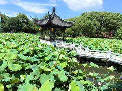 -丝绸小镇荻港古村