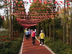 -上海长兴岛郊野公园