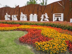 -上海滨江森林公园