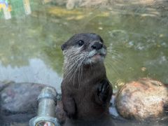 -杭州野生动物世界