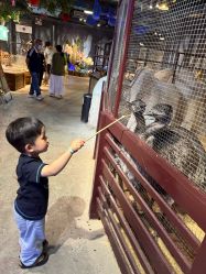 -酷嗒动物文化乐园(cutezoo西溪乐天城店)