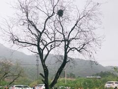 -何适山庄 ·可团建(水长城P2停车场店)