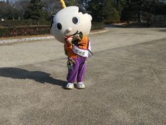 -名古屋城
