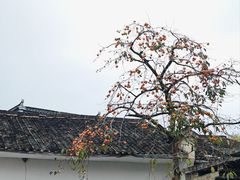 -塔川景区