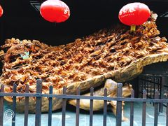 -龙达温泉生态城