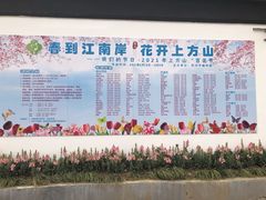 -苏州上方山国家森林公园