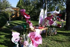 -禧园Joyous Garden ·宴会厅(禧园店)