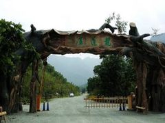 -龙道沟景区