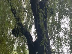 -河北省园博园