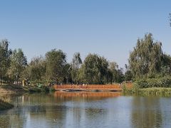 -东郊湿地公园