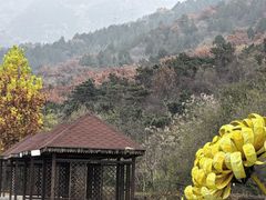-北京十三陵国家森林公园蟒山景区