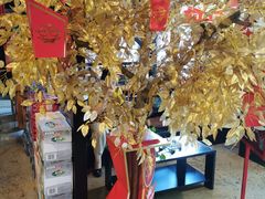 -泽成冰煮羊(长春店)