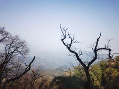 -青城山