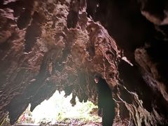 -怀托摩萤火虫洞