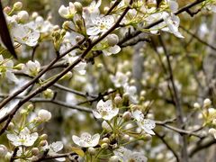 -梁鸿国家湿地公园